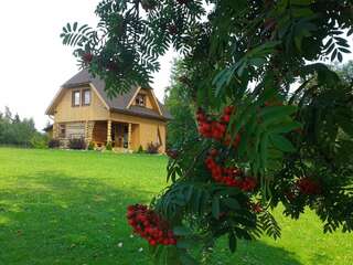 Фото Загородные дома Trīssaliņas г. Aumeisteri